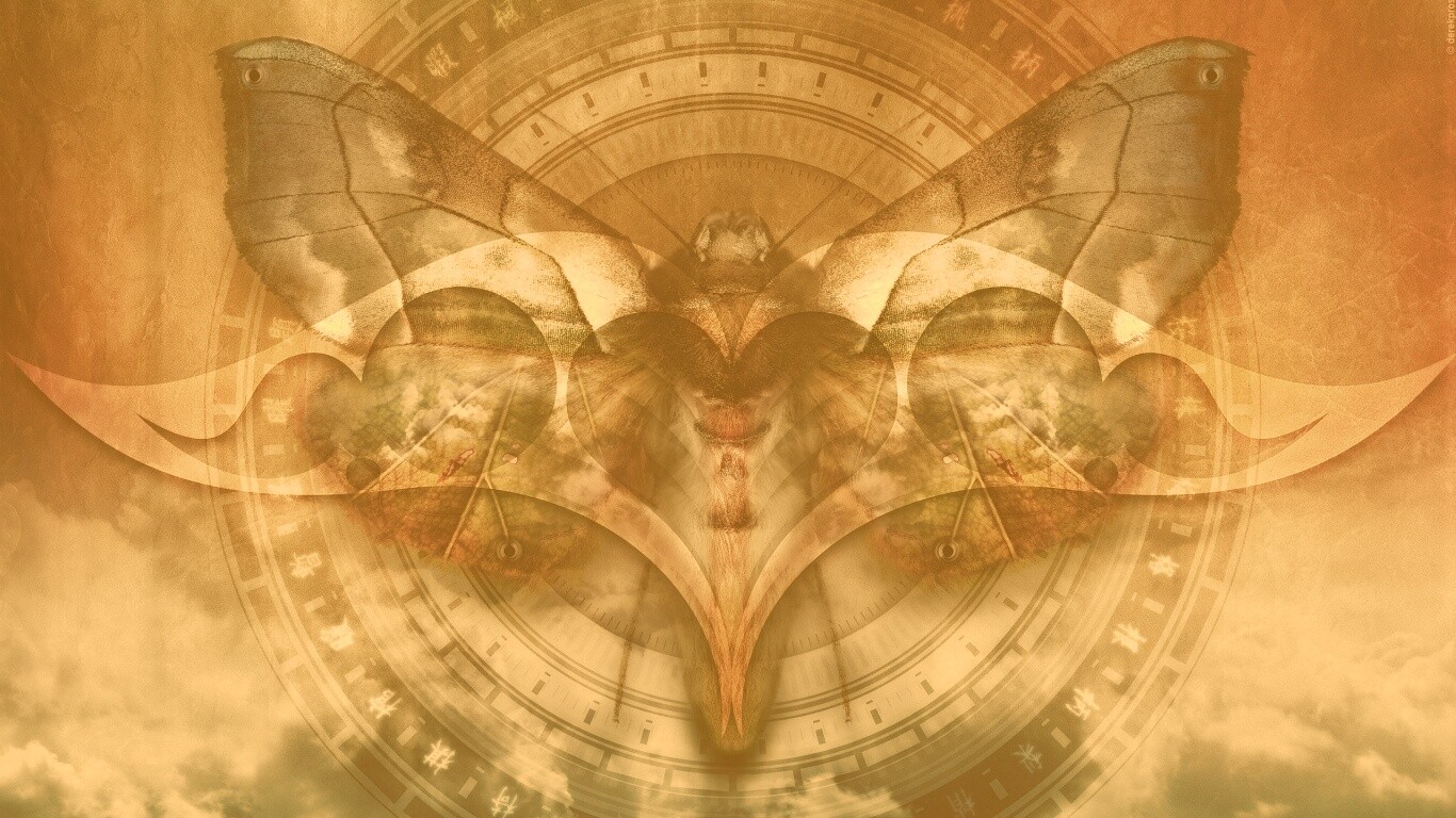 Красивая фэнтезийная бабочка обои