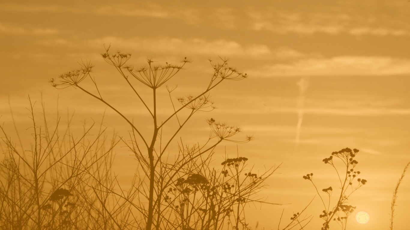 Степной закат обои
