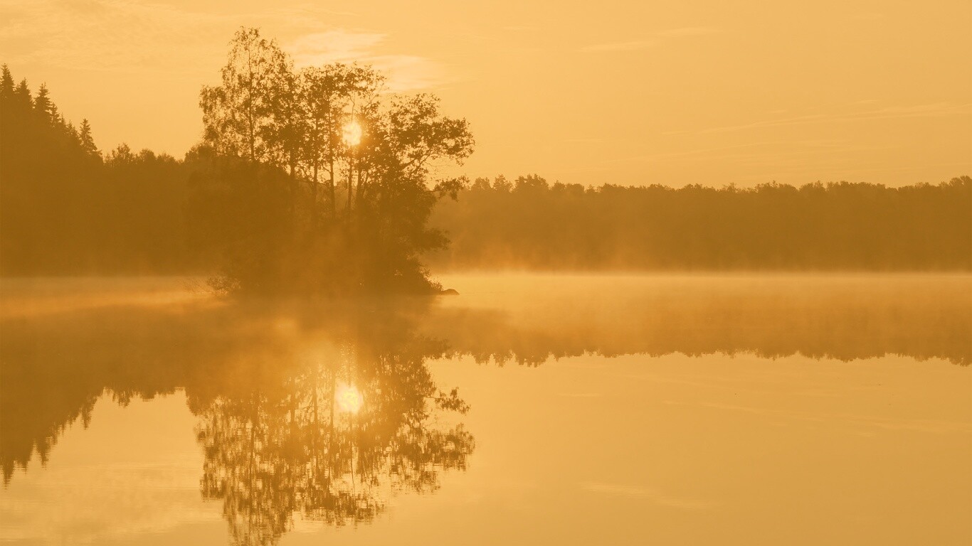 Туманное утро обои