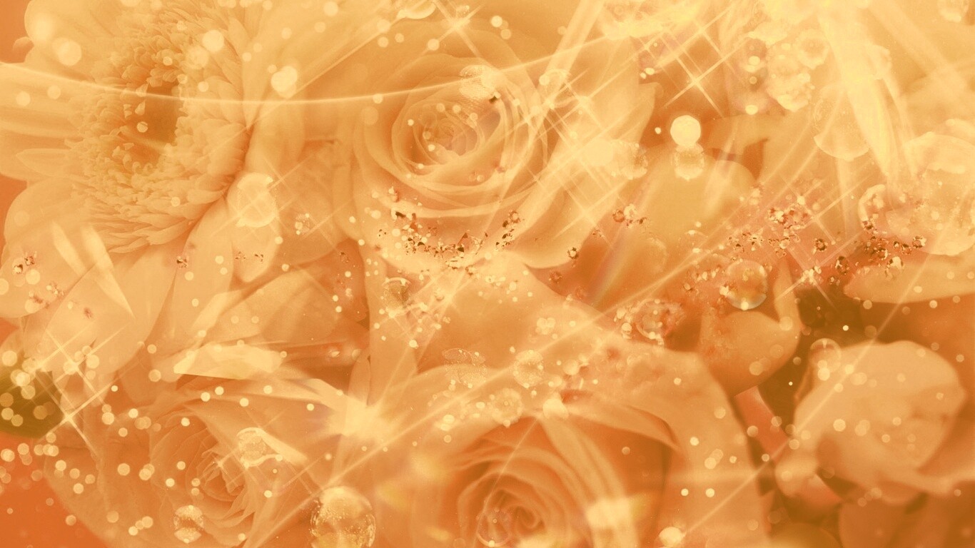 Розово-розовая абстракция с цветами обои