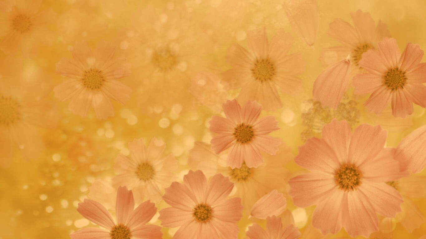 Цветочки обои