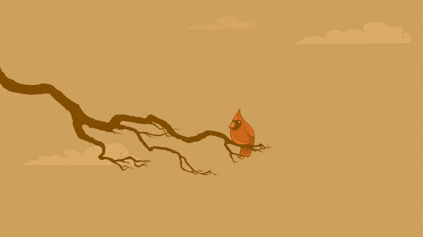 Красная птица на ветке обои