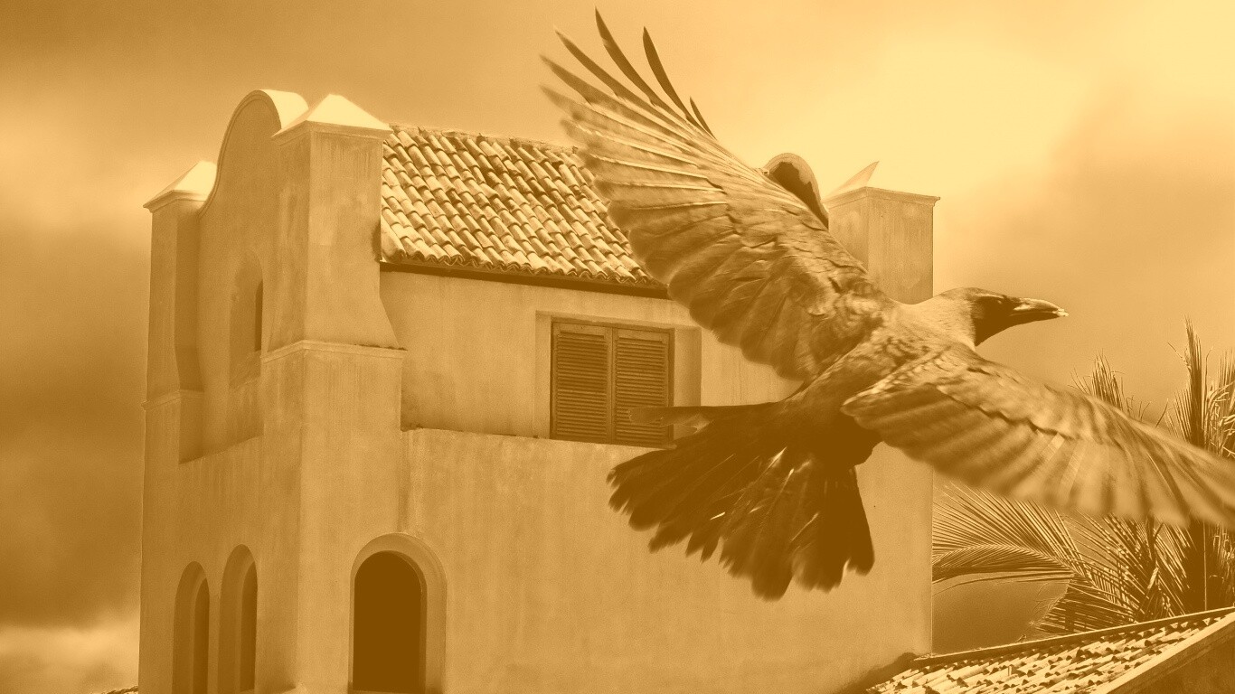 Полёт ворона обои