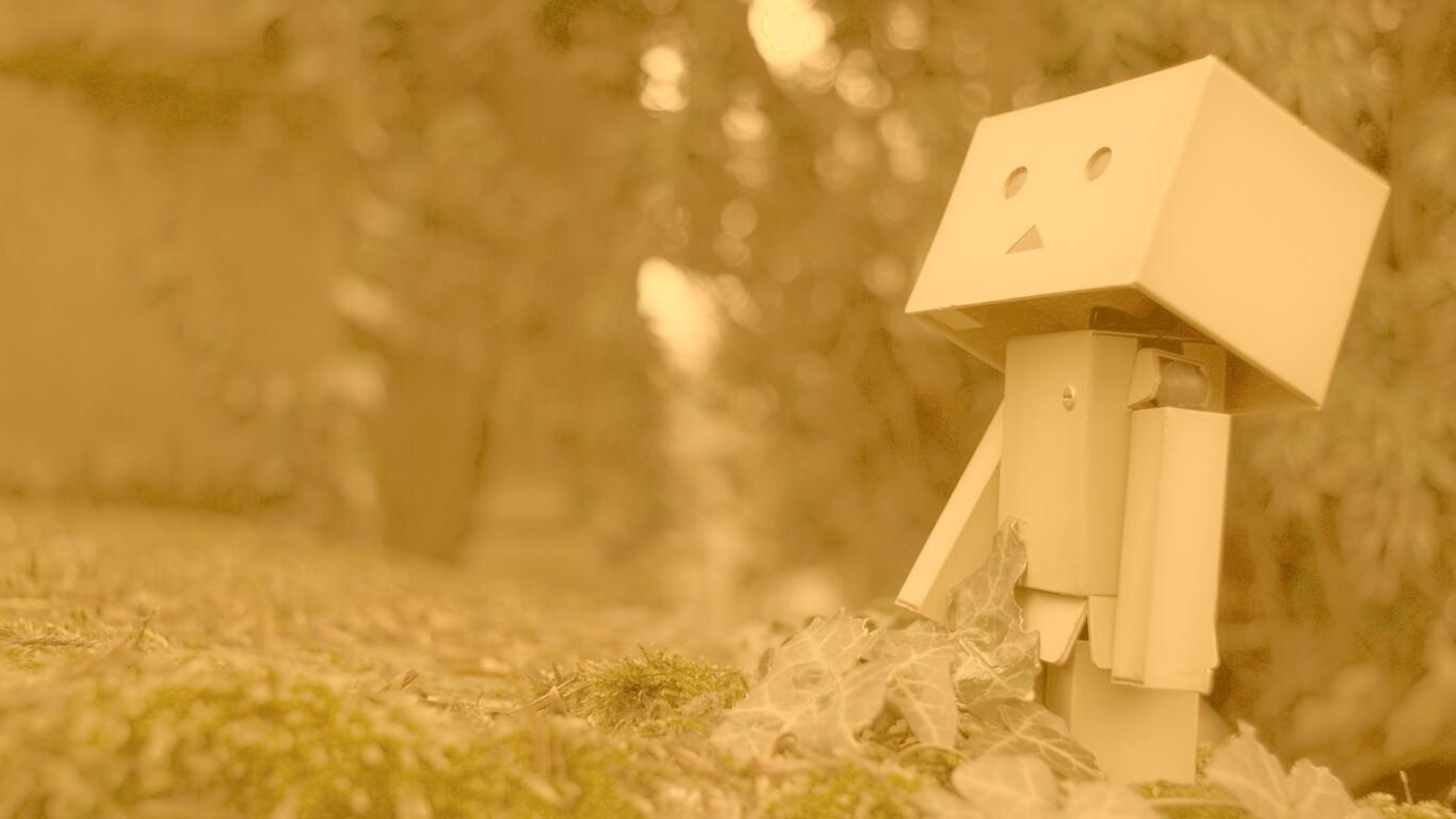 Danbo смотрит вверх обои