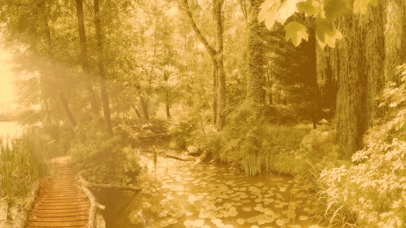 Пруд в лесу обои