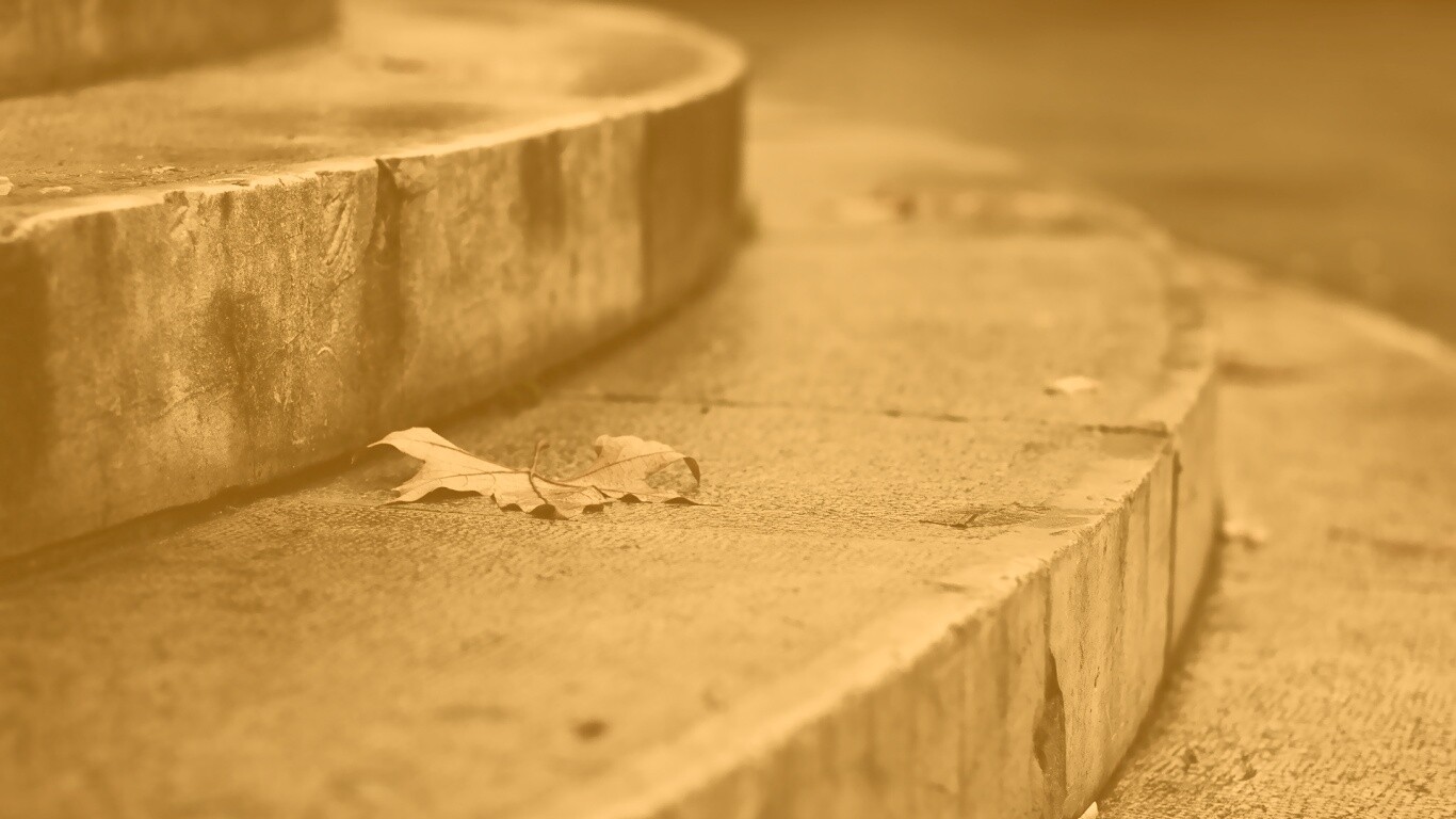 Лист на ступеньках обои