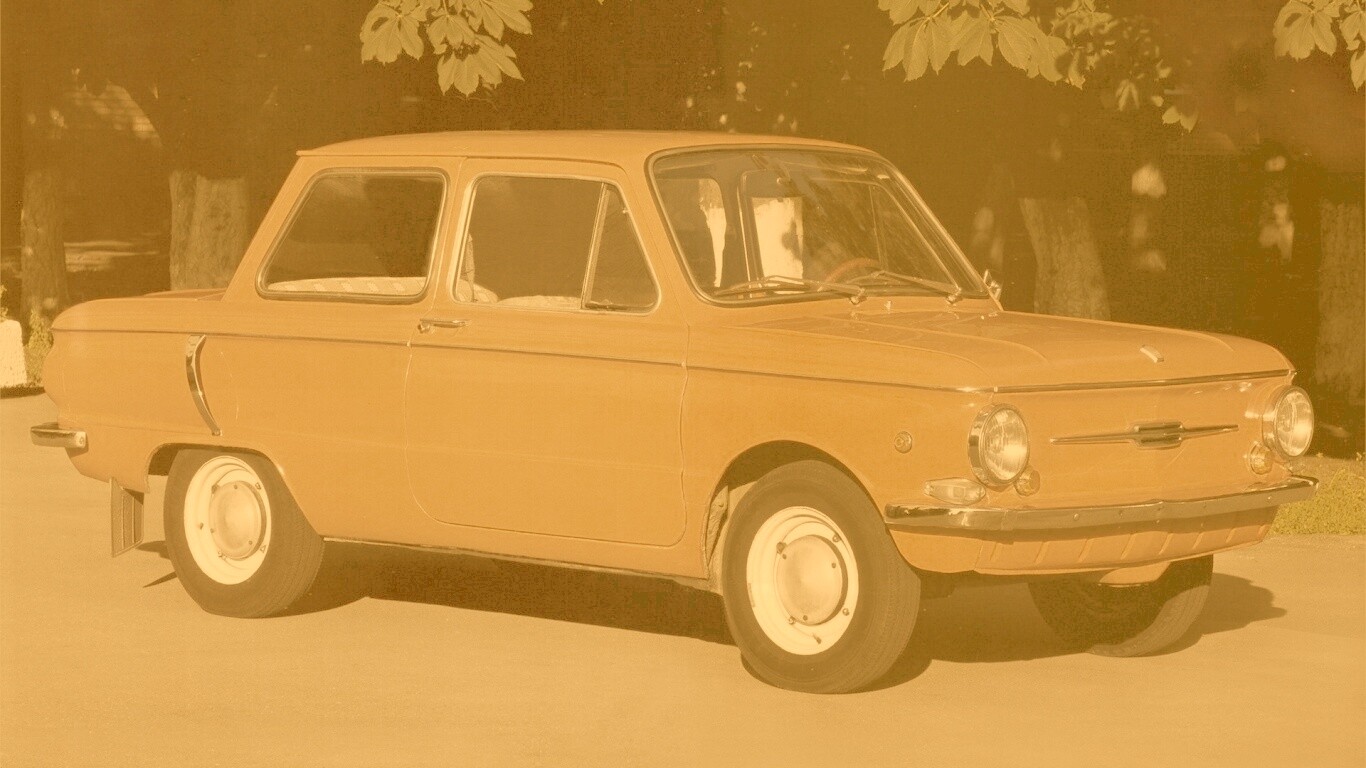 Оранжевый ушастый запорожец обои