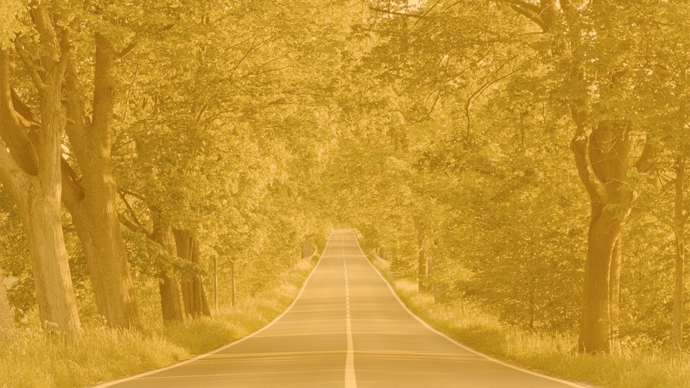 Под горку и в лес обои