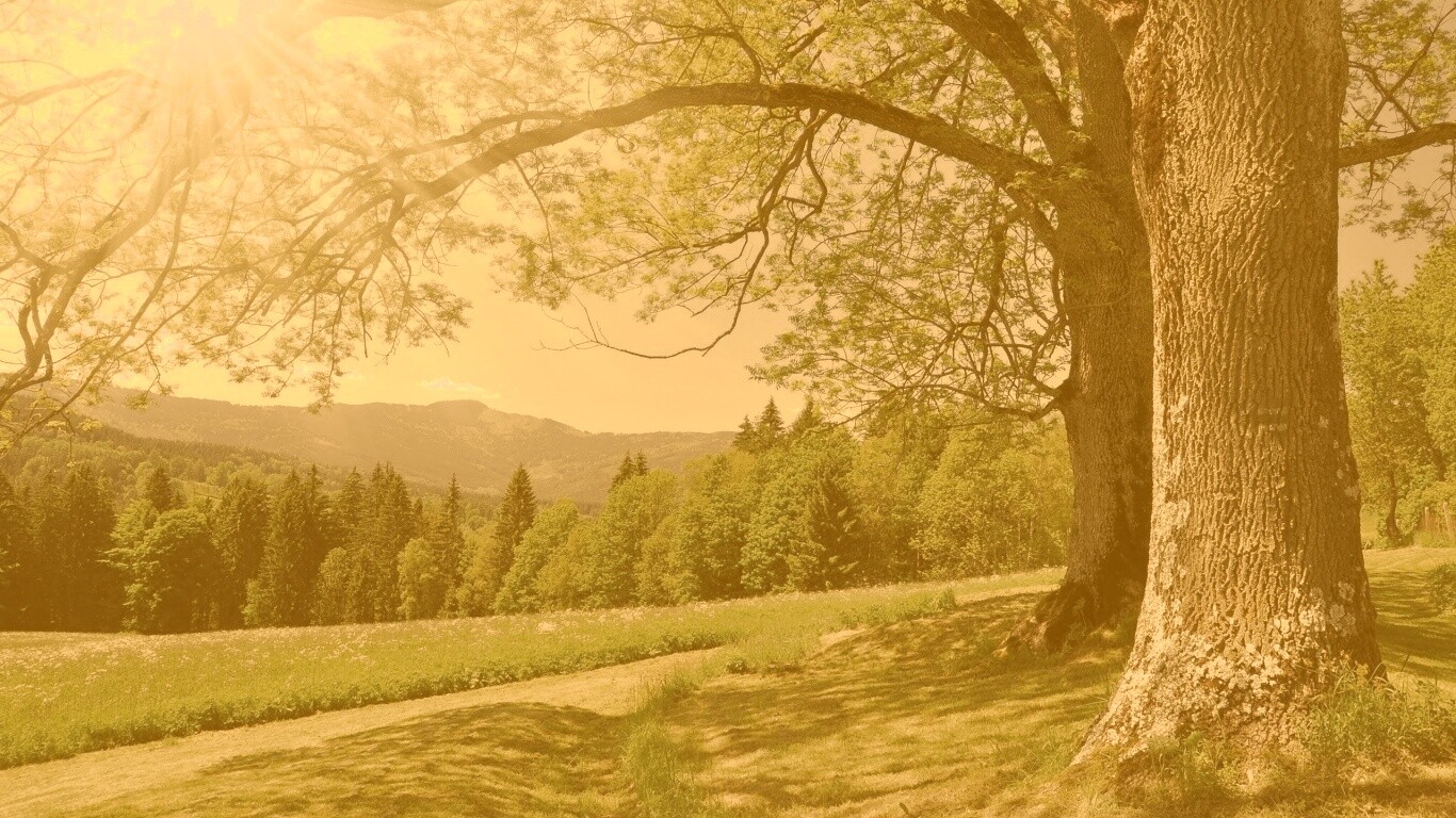 Лето в деревне обои