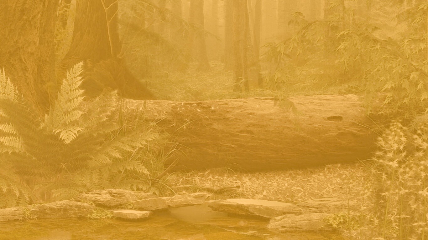 Лесной пейзаж обои