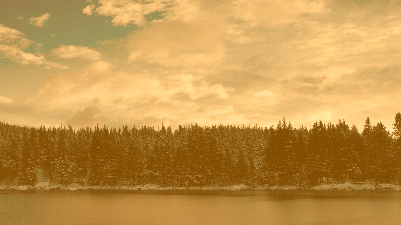 Лес на озере обои