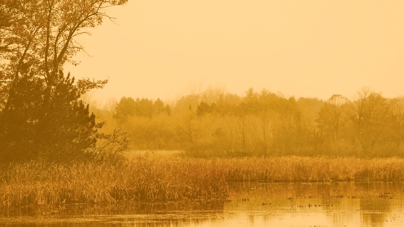 Живописные болота обои