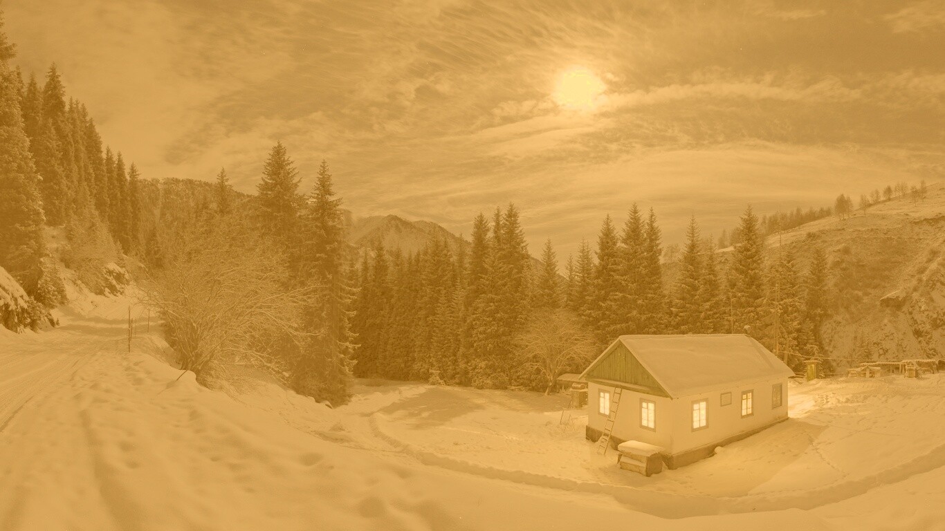 Один в зимнем лесу обои