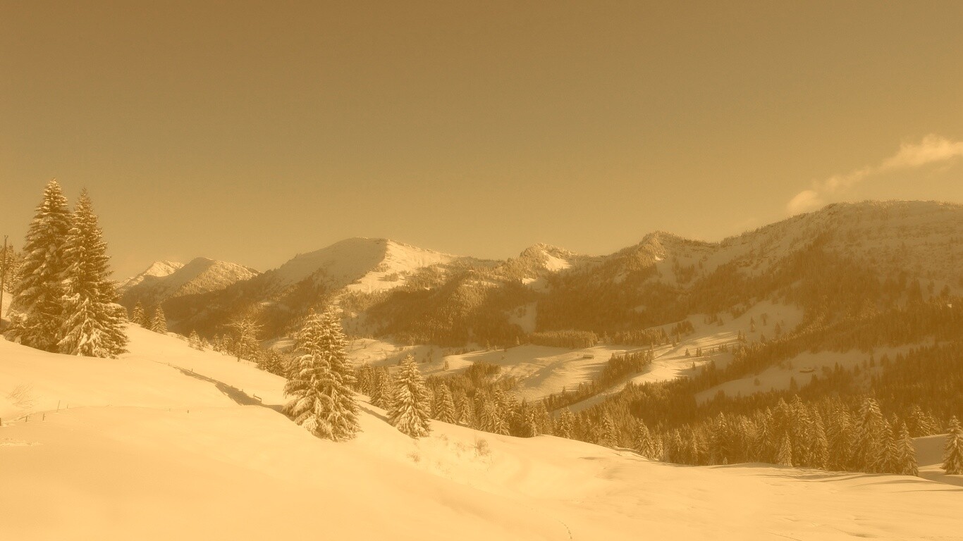 Лес в горах обои