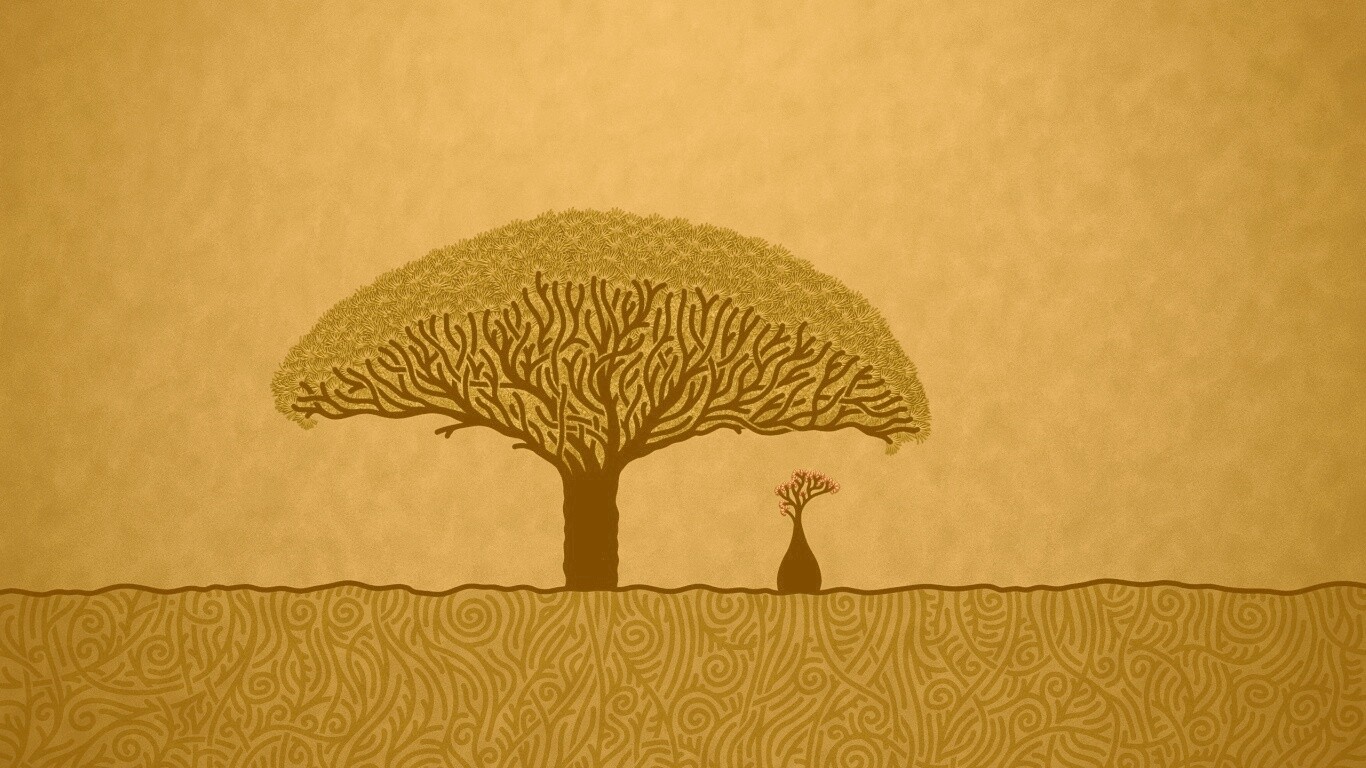Нарисованное деревце обои
