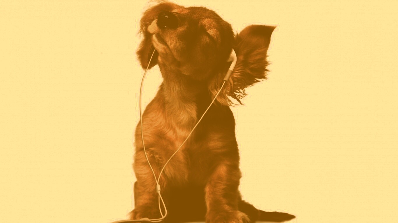 Щенок в наушниках обои