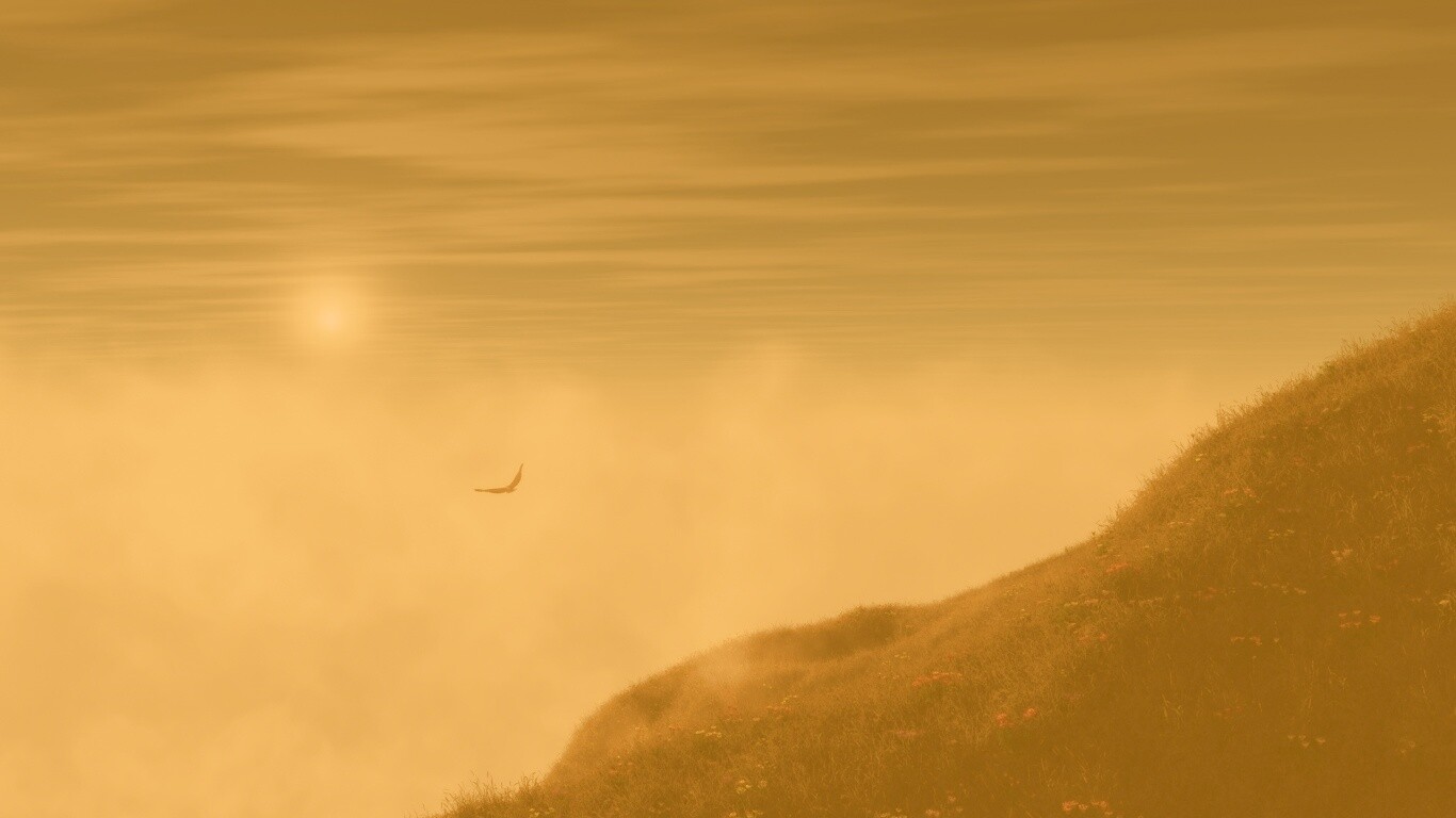 Птица парит над туманом обои