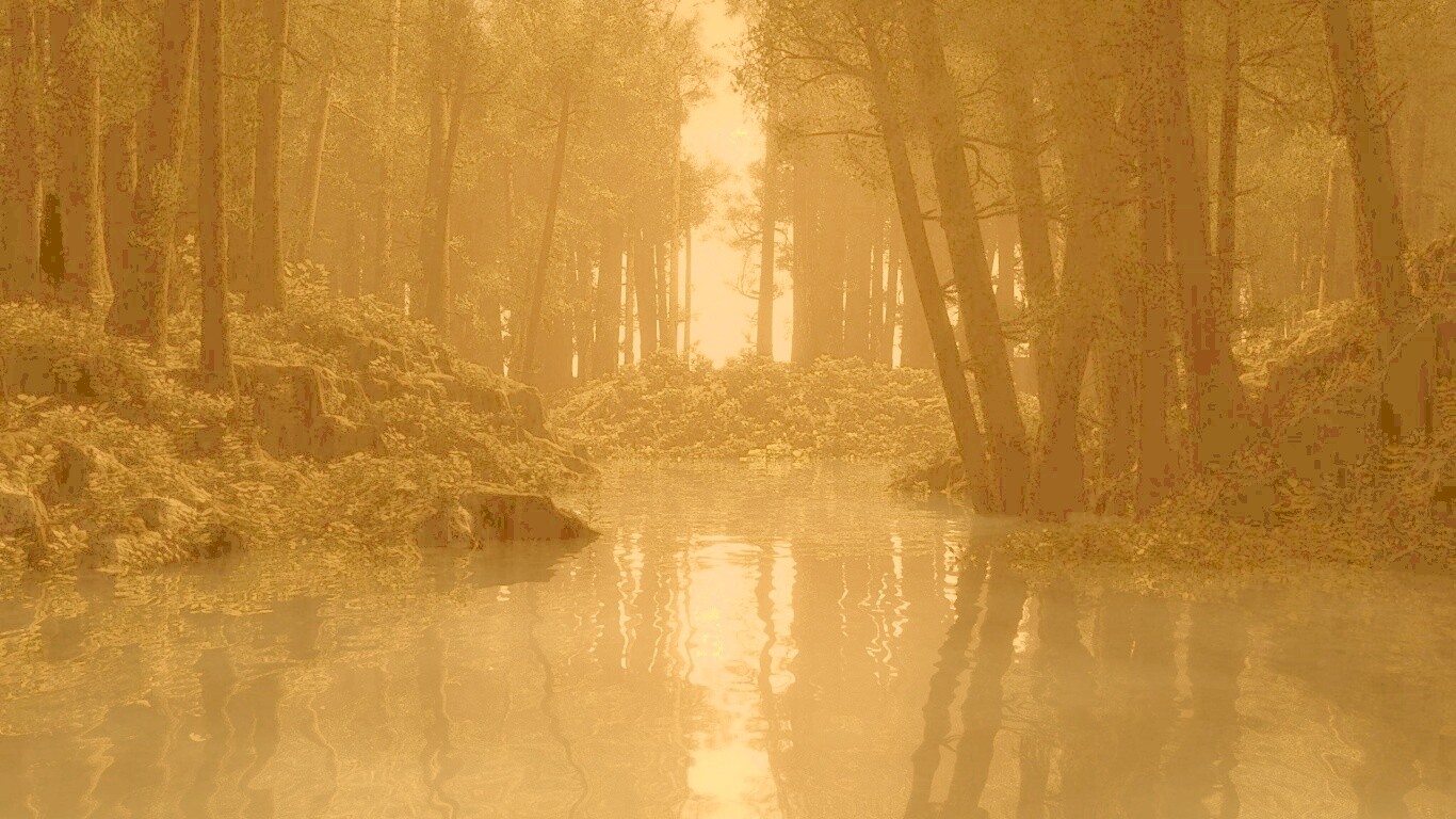 Болото в лесу обои