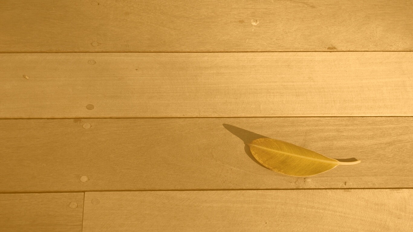 Лист на деревянном полу обои