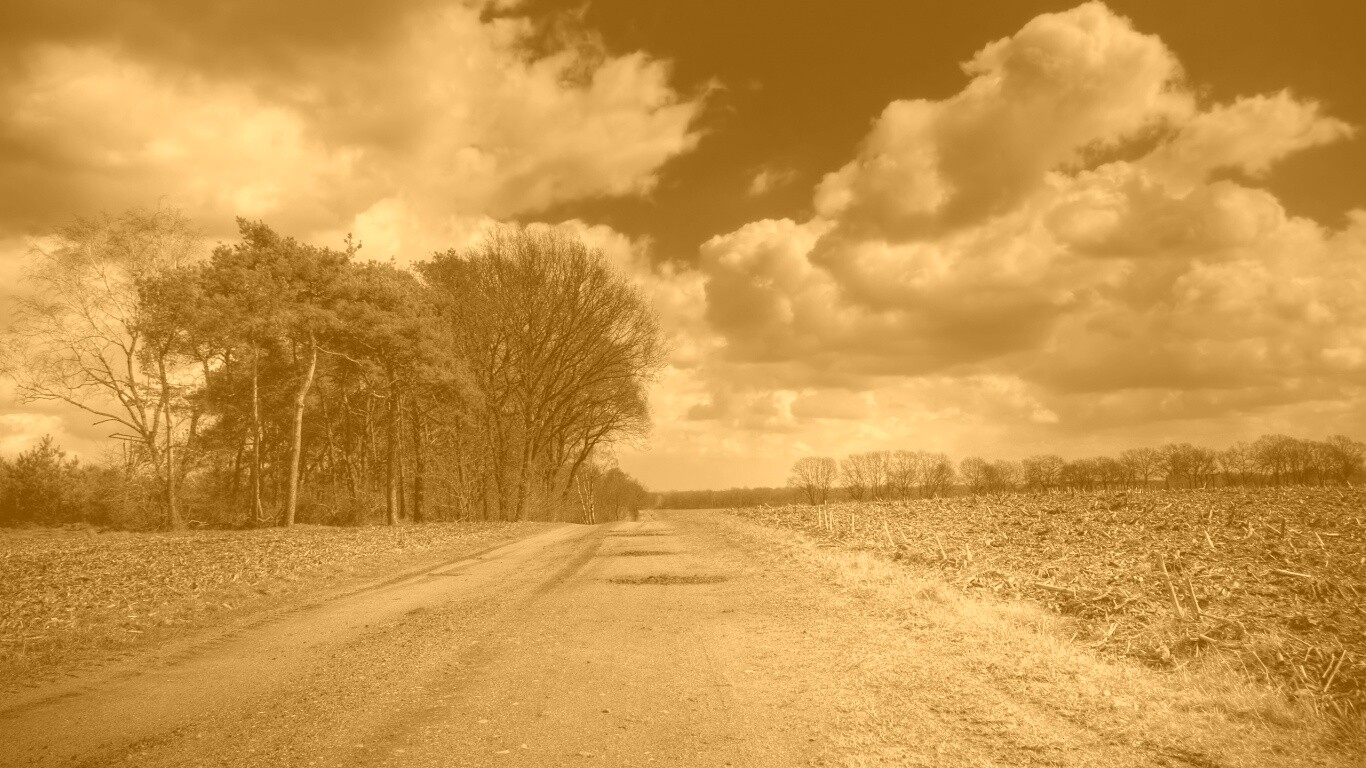 Дорога через поле обои