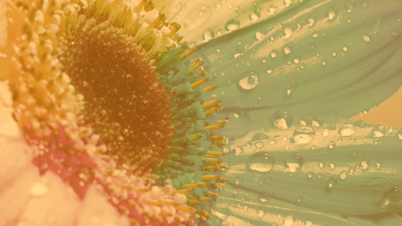 Цветик семицветик обои