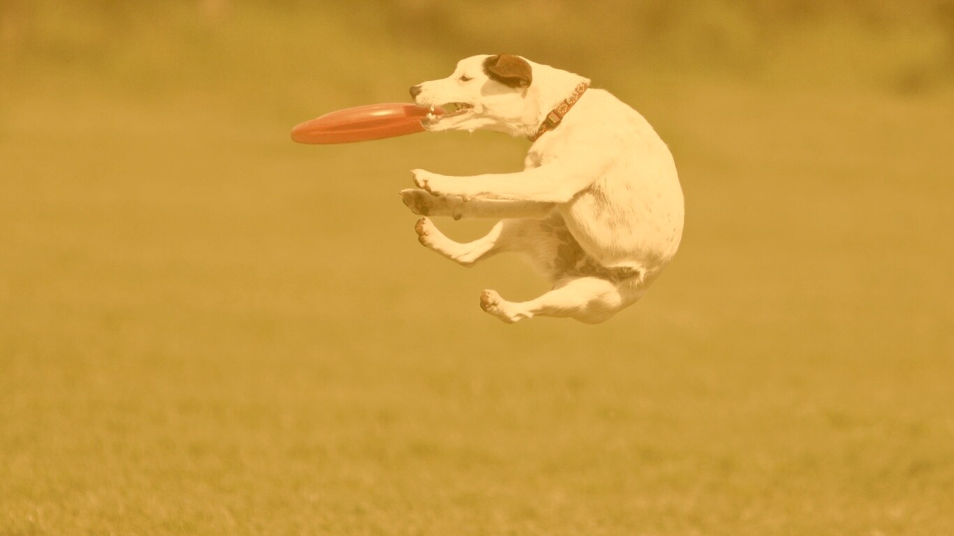 Ловкач обои