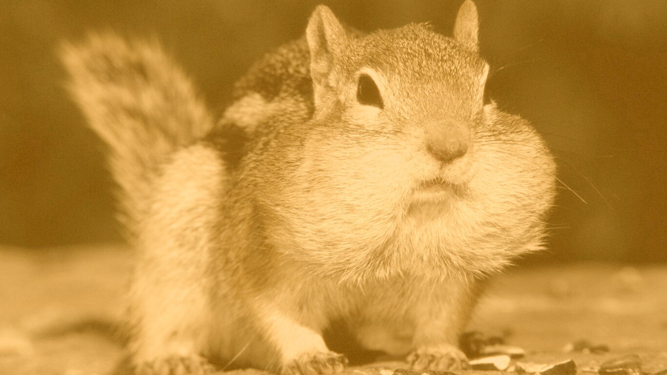 Не жадный, а бережливый обои