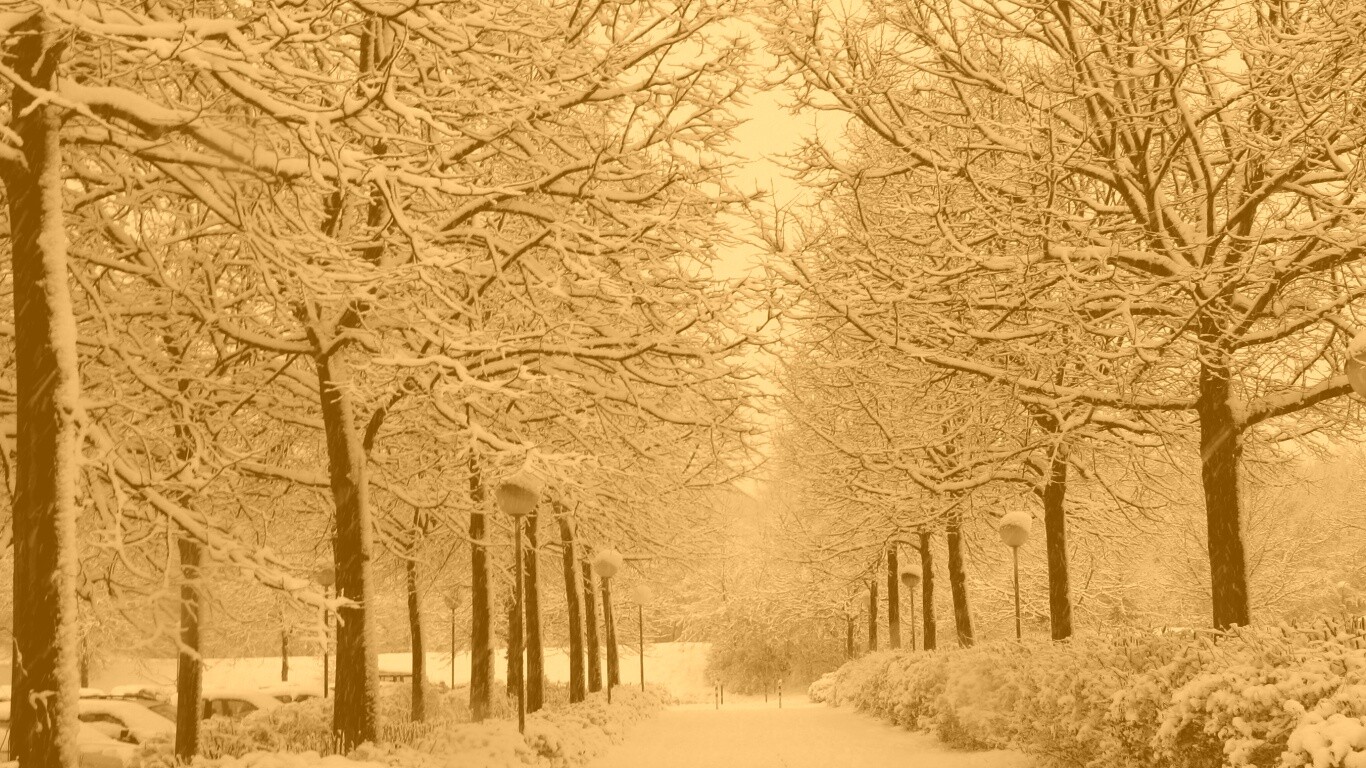 Заснеженная аллея обои