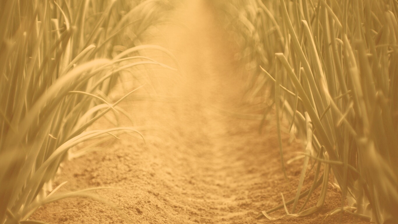 Тропинка в траве обои