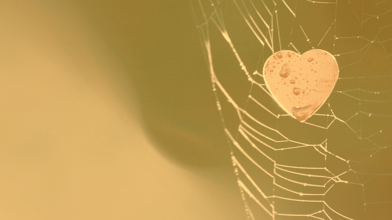 Сердце в паутине обои