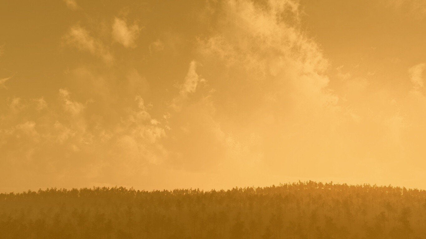 Закат над лесом обои