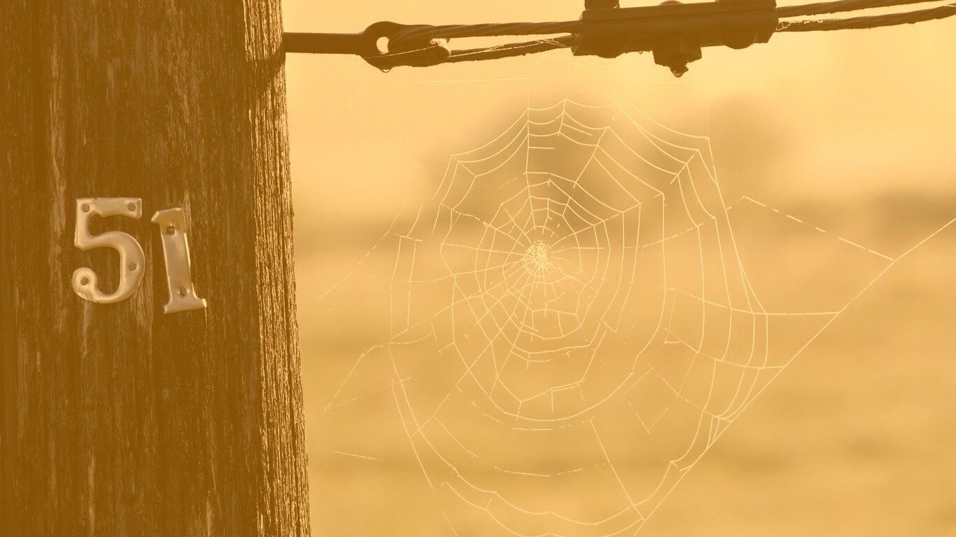 Паутина 51 обои