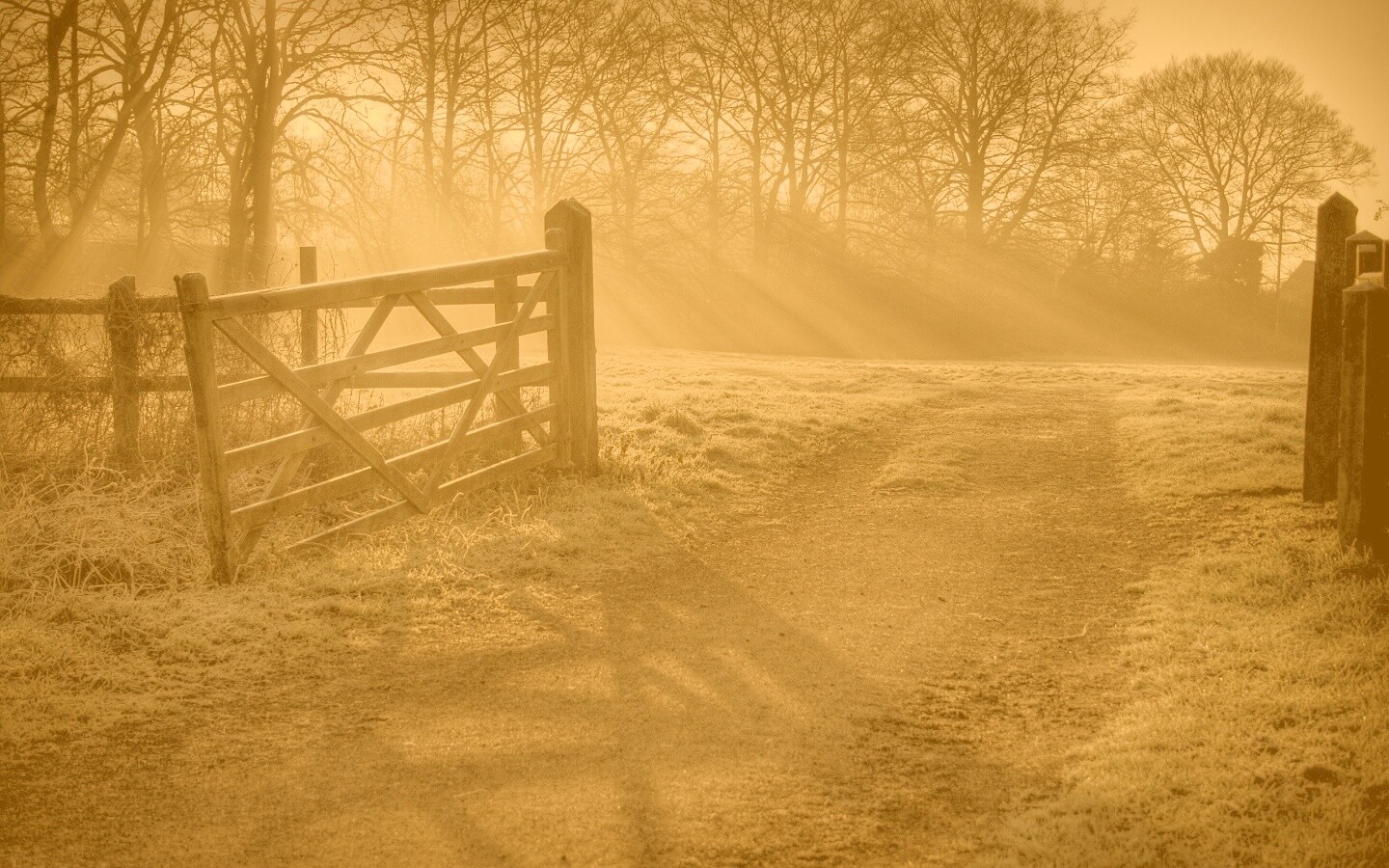 Открытые ворота обои