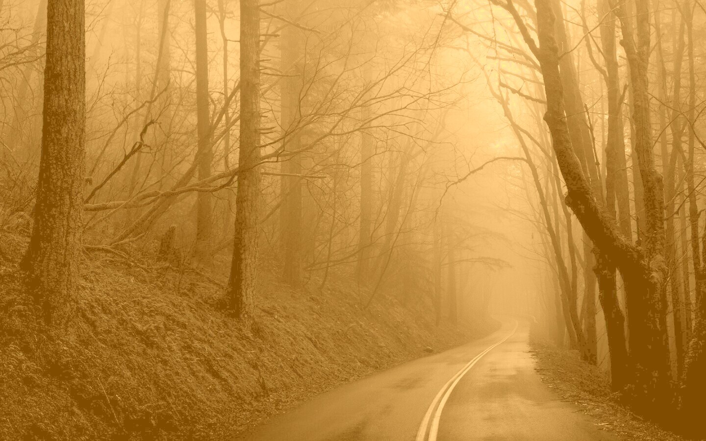 В туман обои