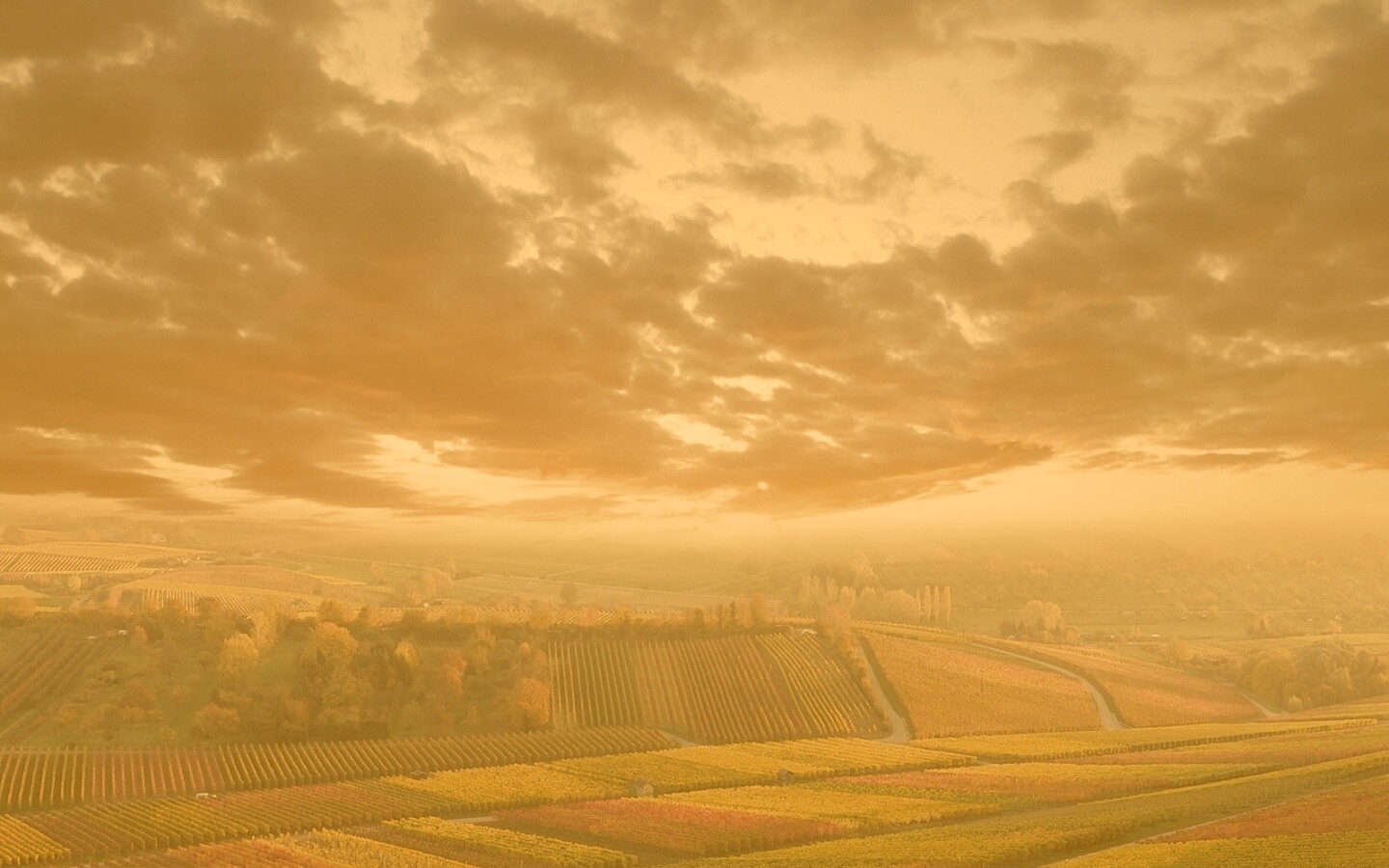 Обработанные земли в пригороде обои