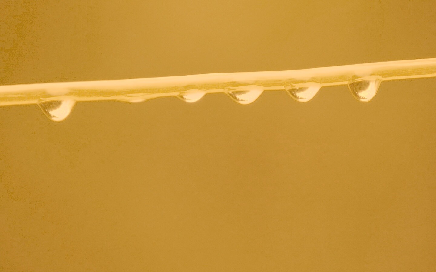 Капли на соломинке обои