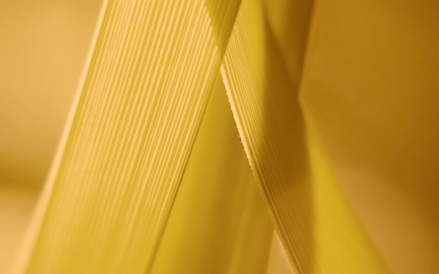 Травинки на свету обои