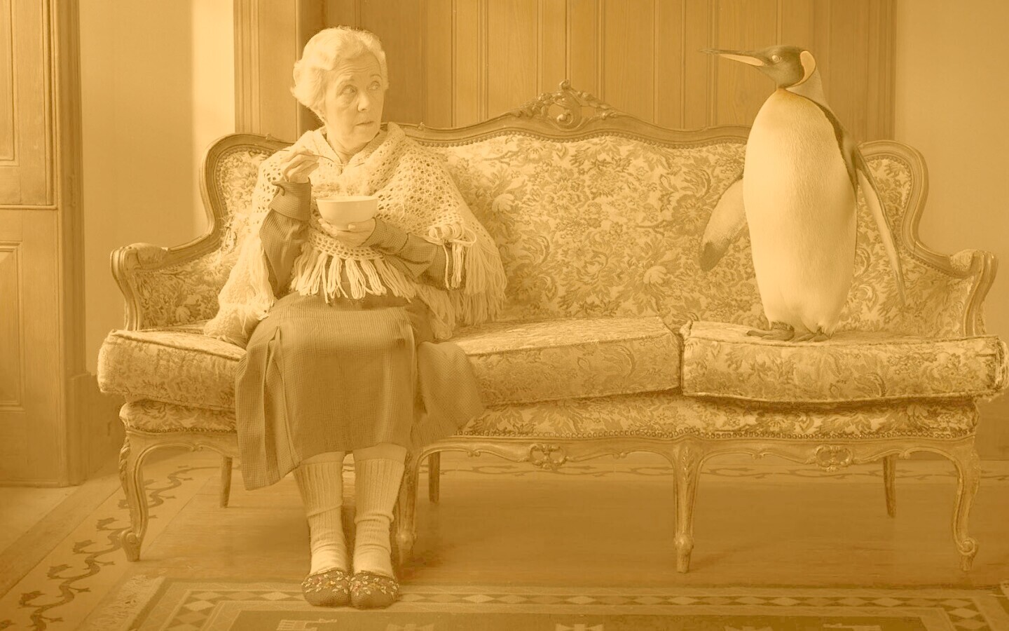 Соседи по дивану обои