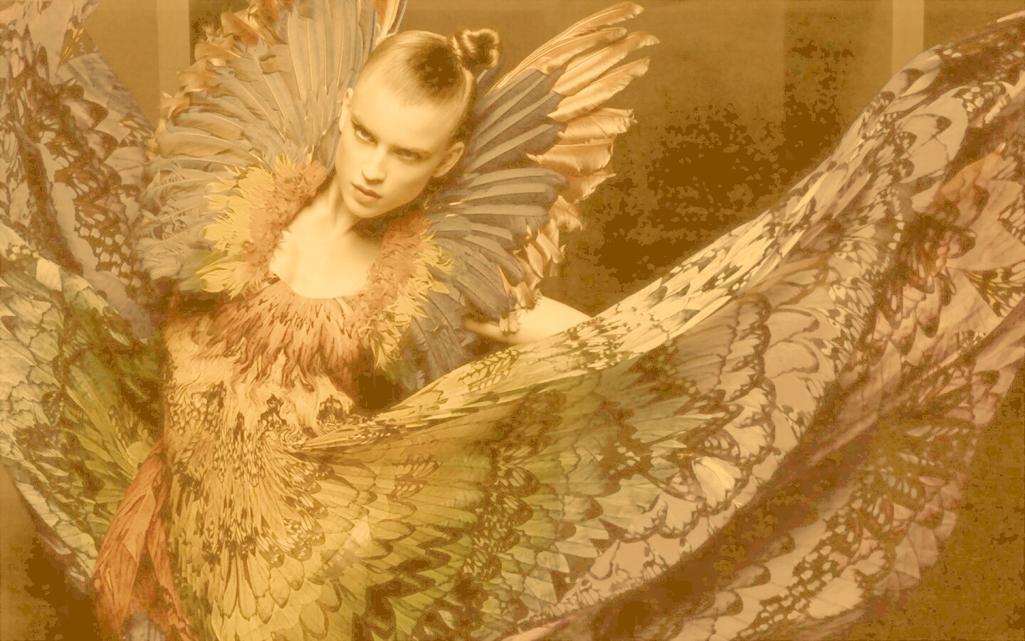 Костюм жар птицы обои