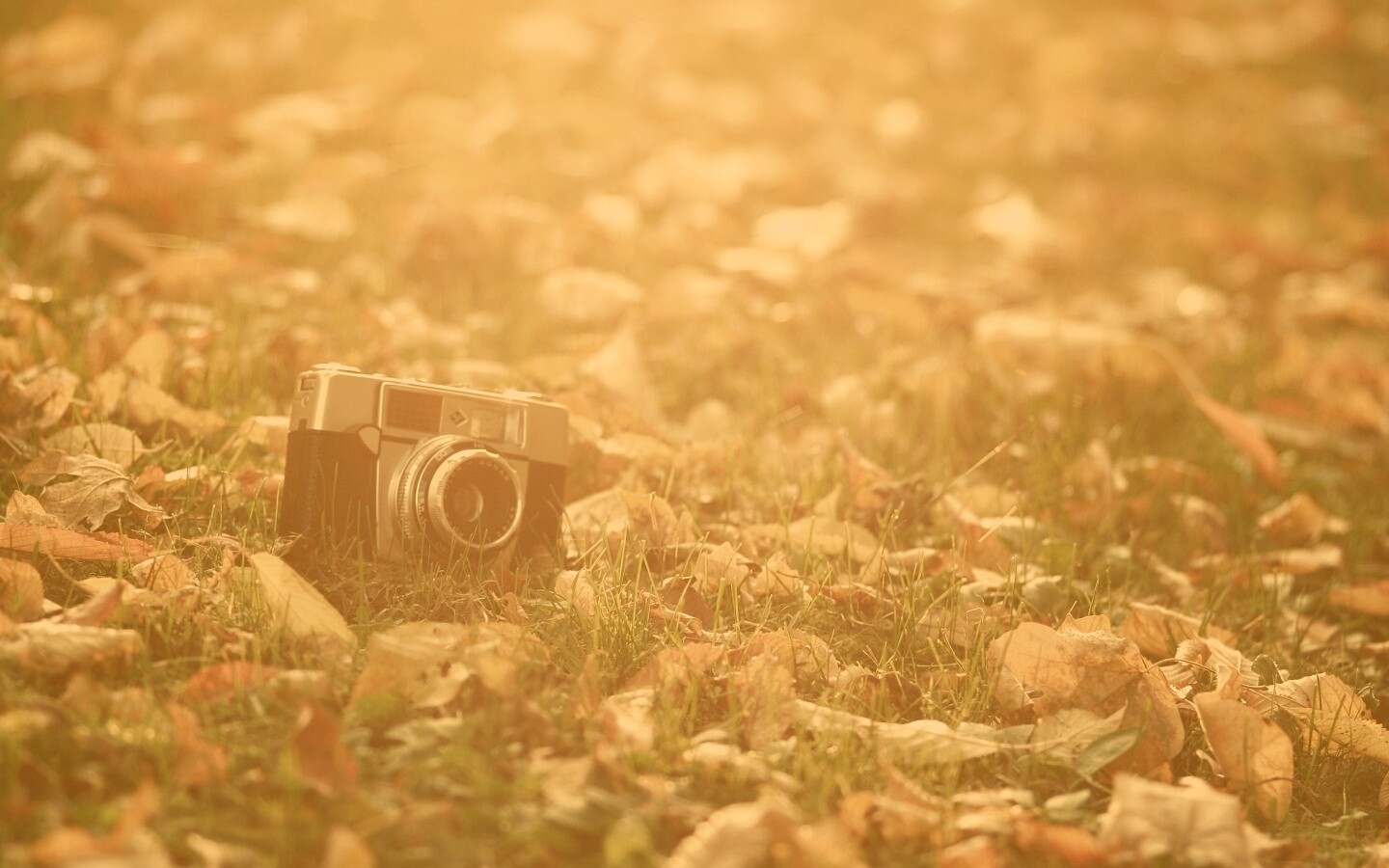Старый фотоаппарат в траве обои