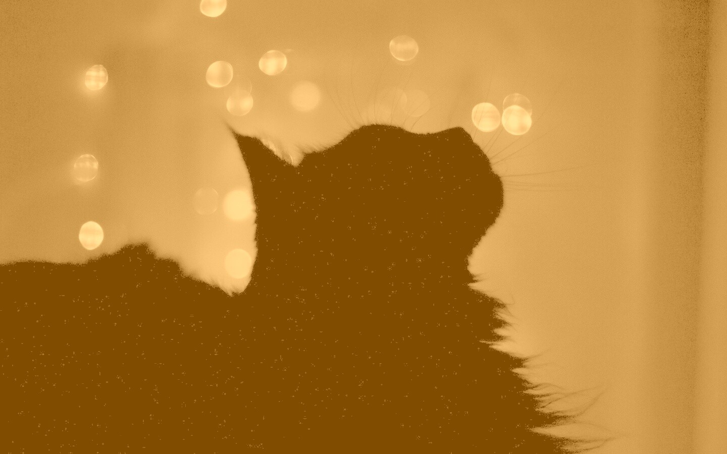 Силуэт черного кота обои