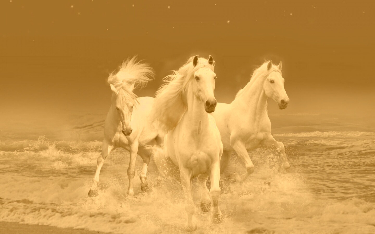 Тройка конец в море обои