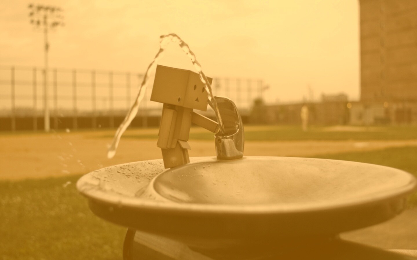 Дандо пьет в воду из фонтанчика обои