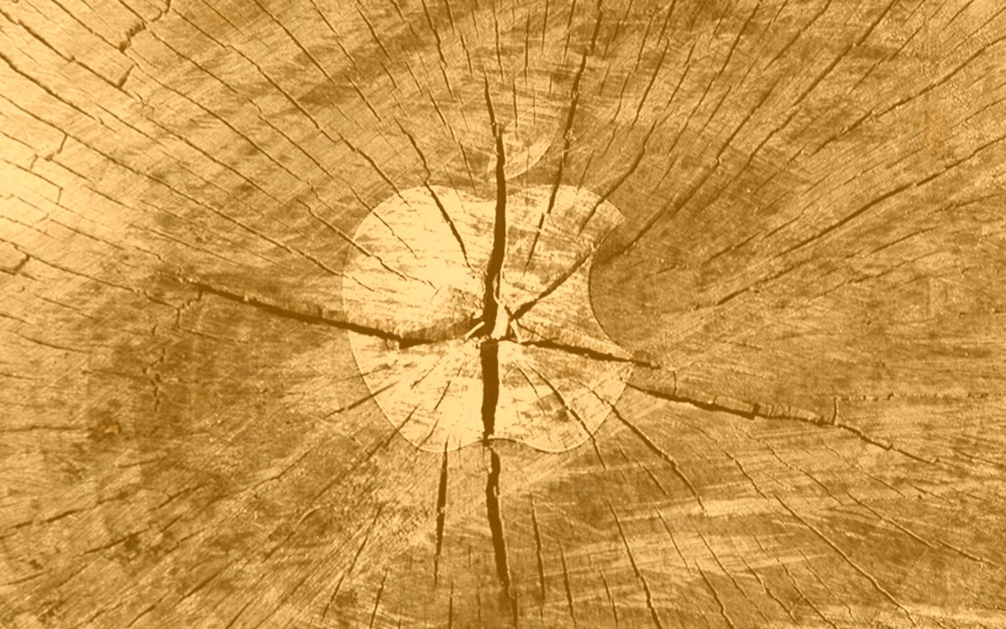 Логотип Apple на бревне обои