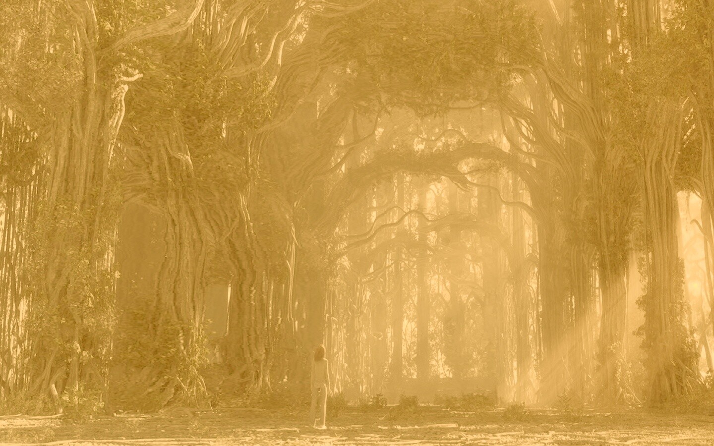 Одна в сумеречном лесу обои