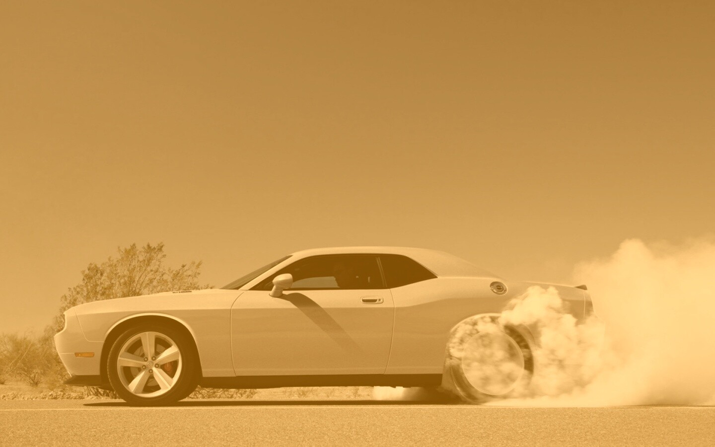 Стартующий Форд Мустанг обои