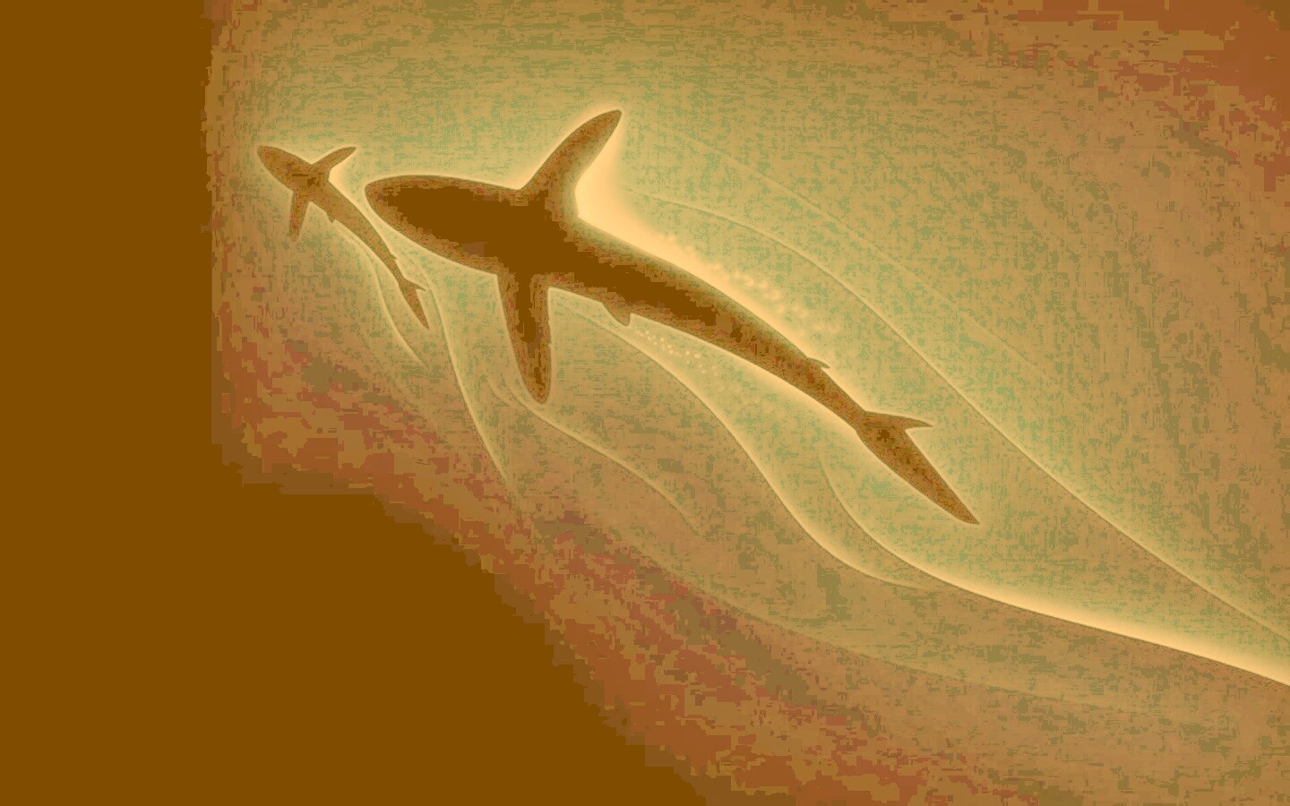 Рыбы в глубине обои