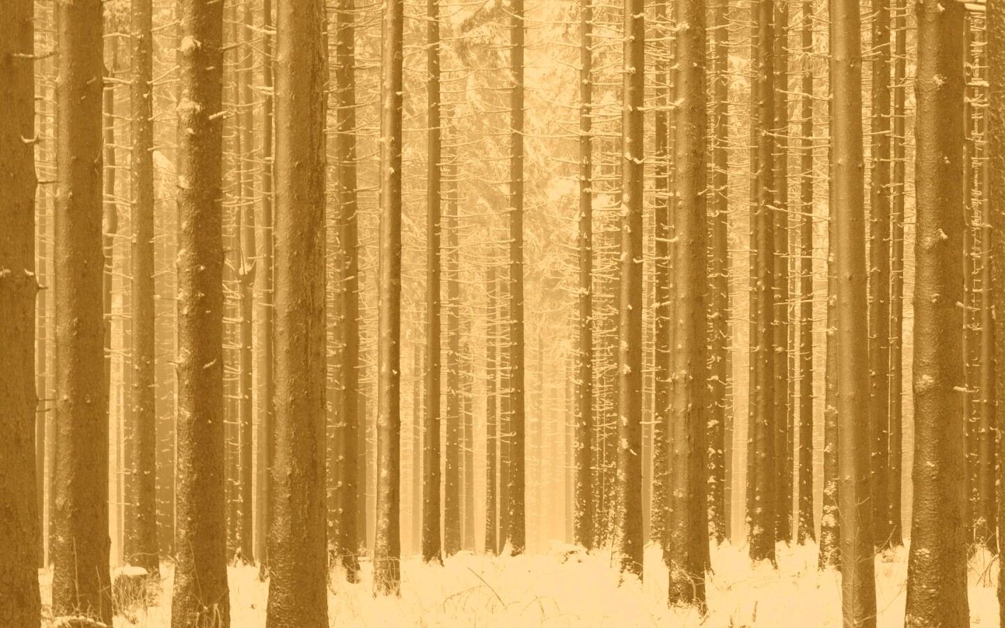 Зимний лес как штрихкод обои