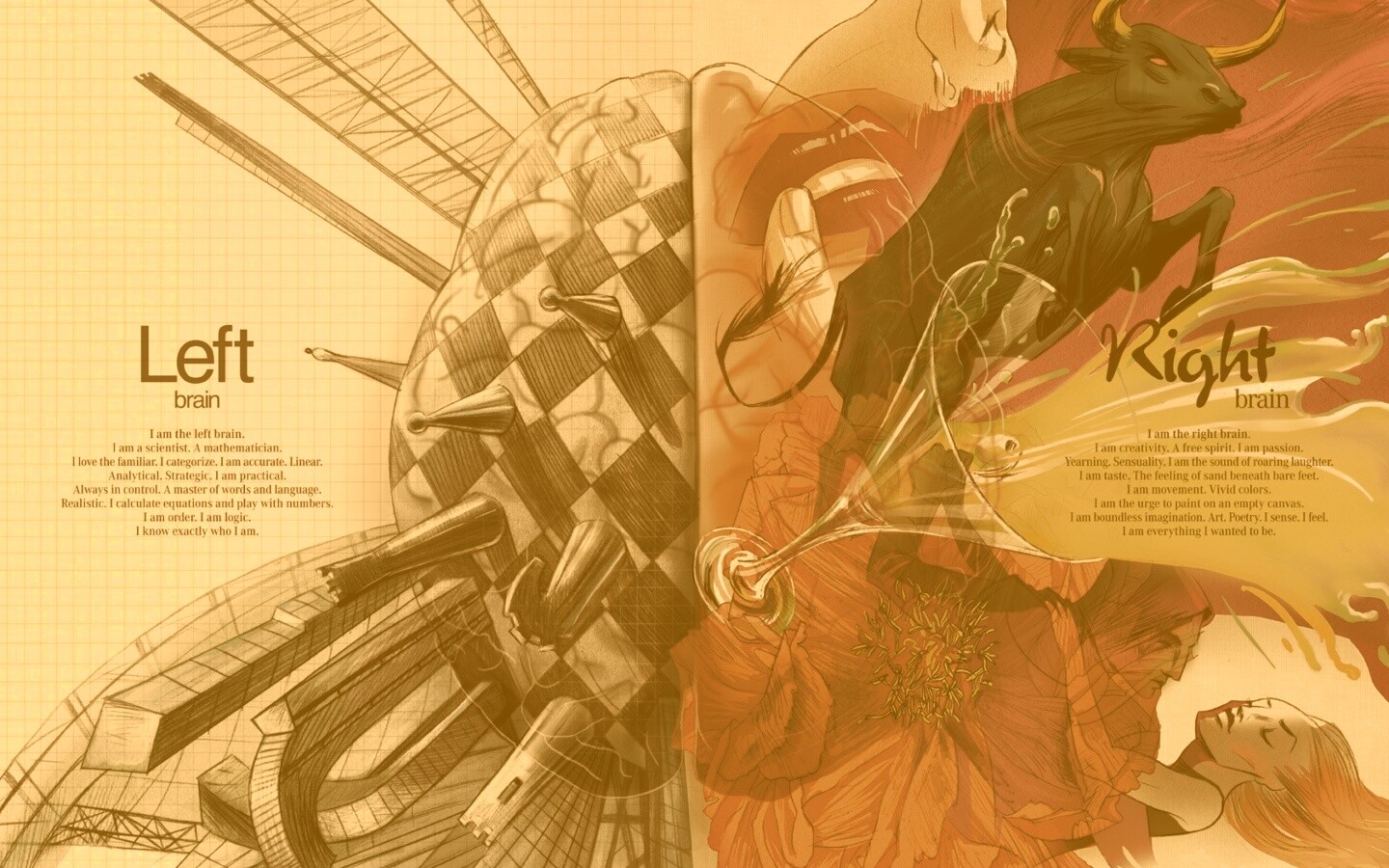 Левая и правая часть мозга обои