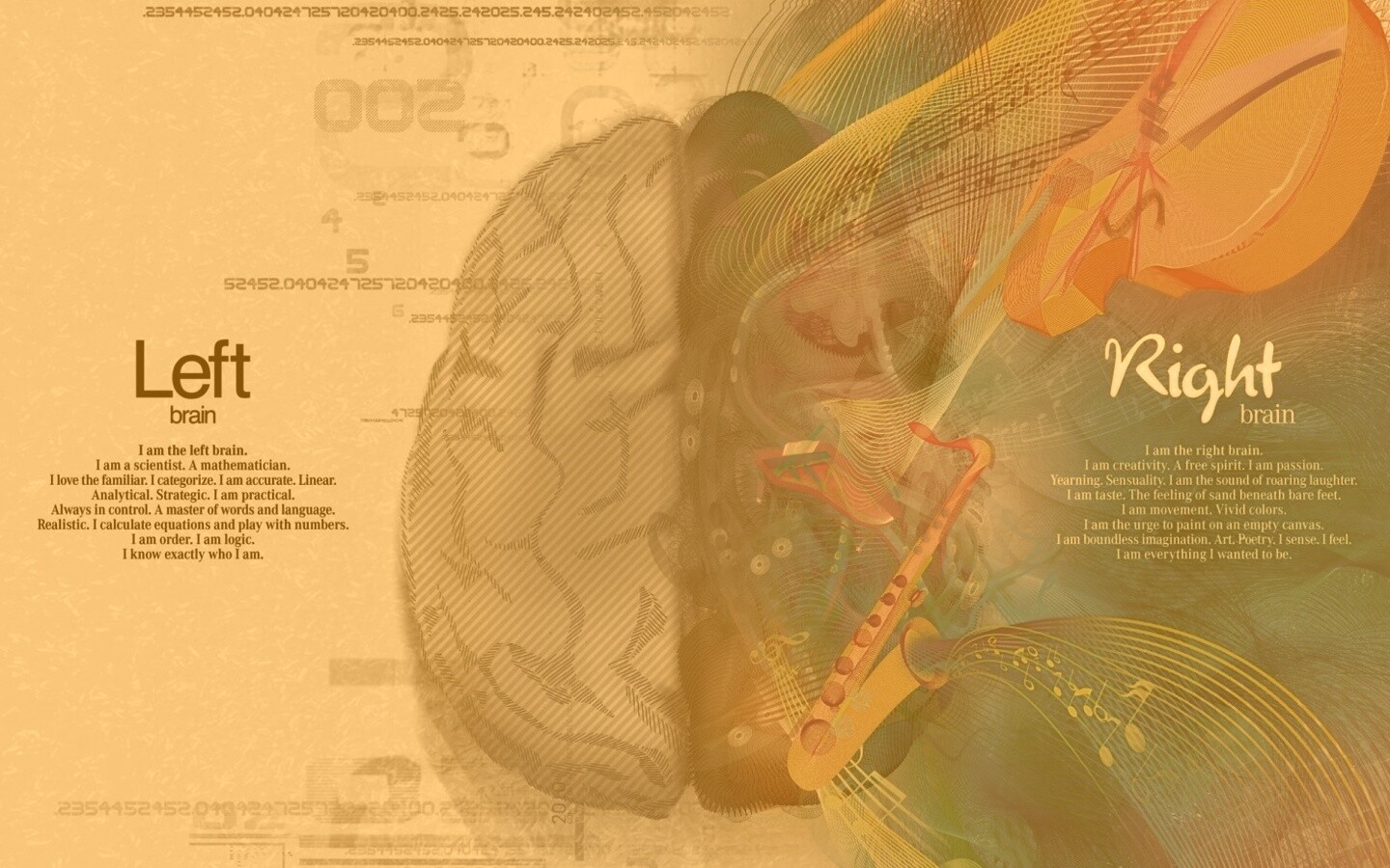 Левая и правая половина мозга обои